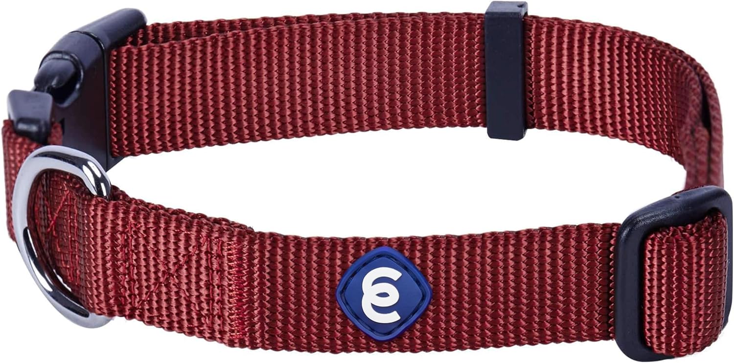 Blueberry Pet Essentials Classic Nylon Dog Collar — Fired Brick, X-Small