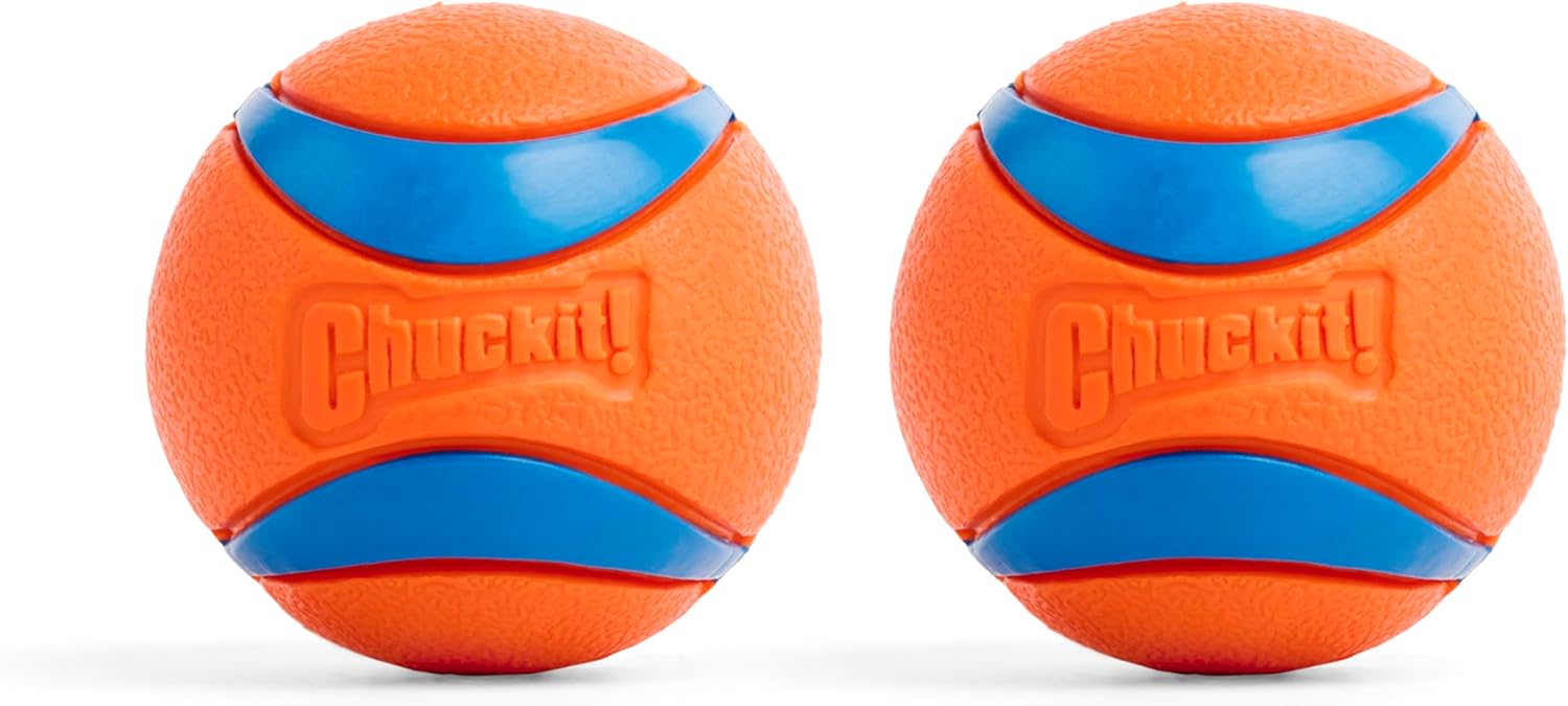 Chuckit! Ultra Ball — Medium 2.5 inch, orange/blue, 2-pack packaging