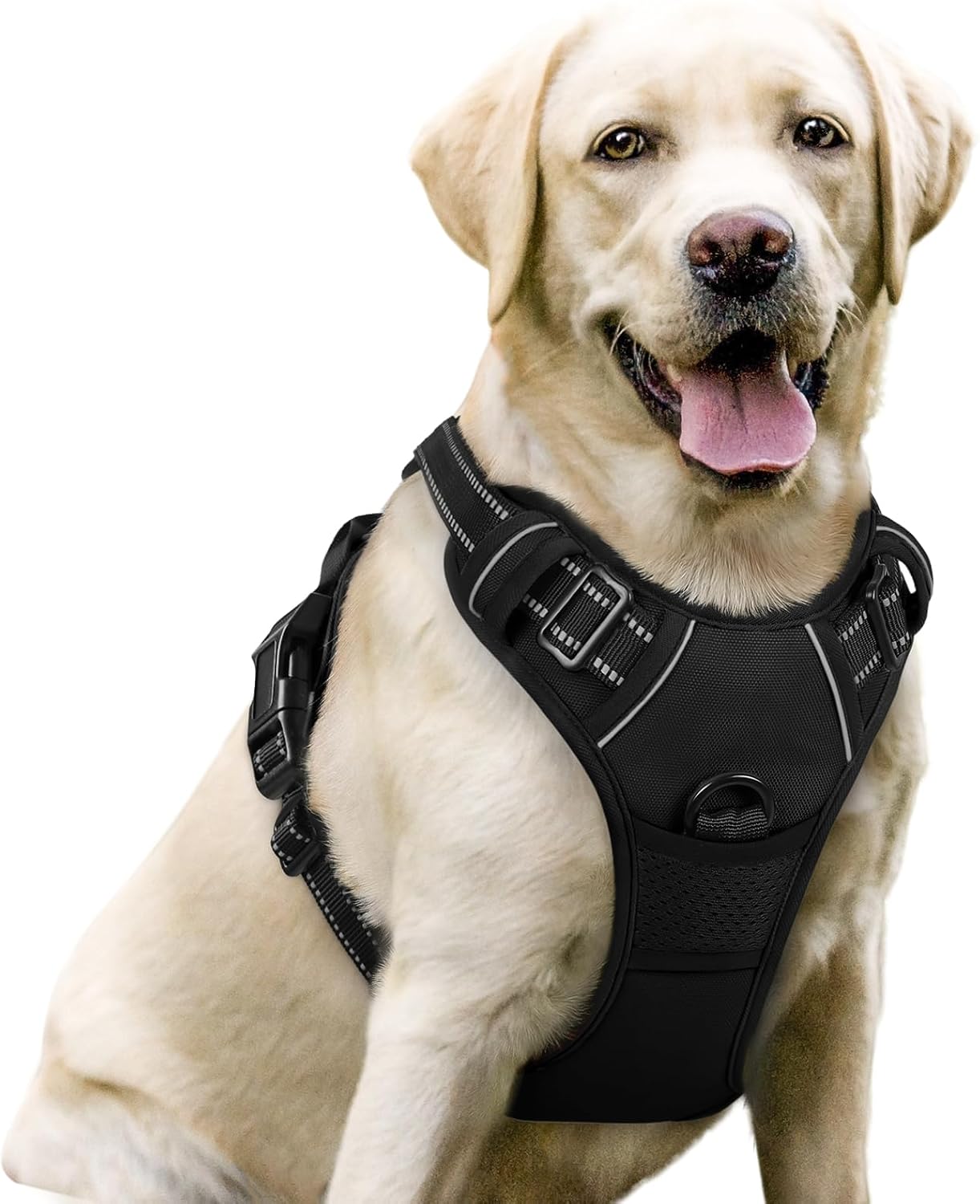 rabbitgoo No Pull Dog Harness — Black, Large