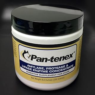 10x Digestive Enzymes for Dogs - 8.8 Ounces (250 Grams)