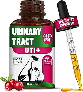 Сat Urinary Tract Infection Treatment with Cranberry