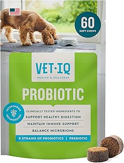 VetIQ Probiotic Supplement for Dogs, Gut & Bowel
