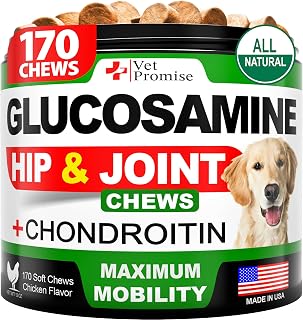 Glucosamine for Dogs - Hip and Joint Supplement for Dogs - 170 Chews