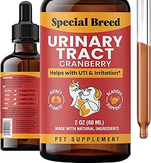 Cat & Dog Urinary Tract Infection Treatment