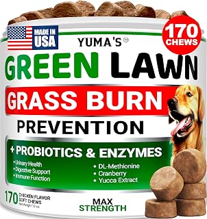 Dog Urine Neutralizer for Lawn - 170 Chews - Grass Green Saver Supplement
