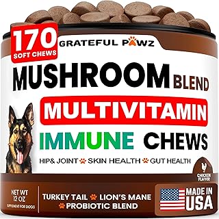 Turkey Tail Mushroom Supplement for Dogs - Multivitamin for Dogs, 170 Chews