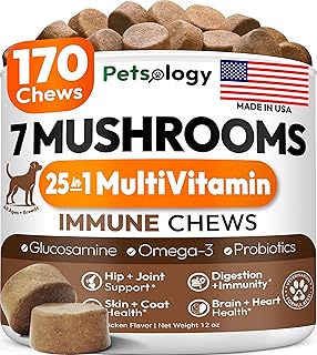 Turkey Tail Mushroom for Dogs - 170 Chews - Lion's Mane, Shiitake & Reishi