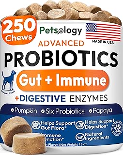 Probiotics for Dogs - 250 Dog Probiotics Chews - Digestive Enzymes