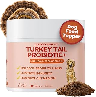 Turkey Tail Mushroom for Dogs