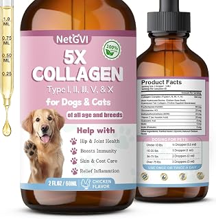 Collagen for Dogs